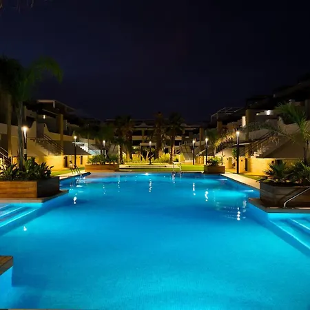Palm View *